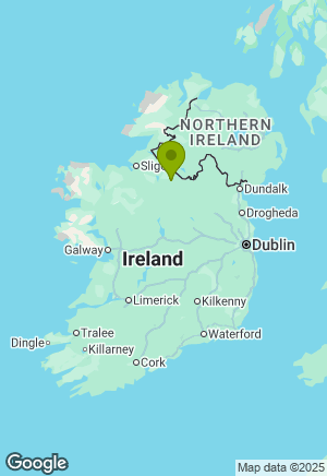 Cocker Spaniel for sale in Leitrim