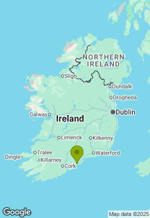 Bavarian Mountain Hound for sale in Cork