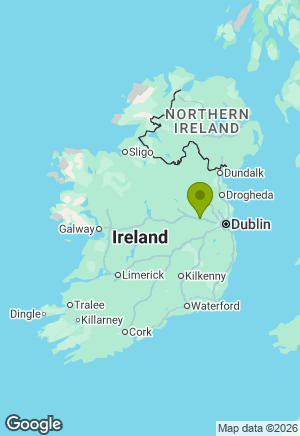 Labrador for sale in Meath