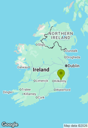 Rhodesian Ridgeback for sale in Wexford