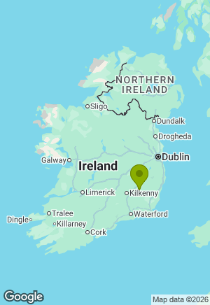 Golden Retriever for sale in Carlow