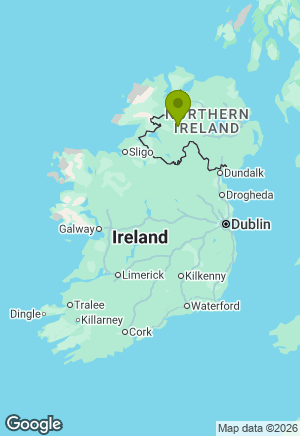Siberian Husky for sale in Tyrone