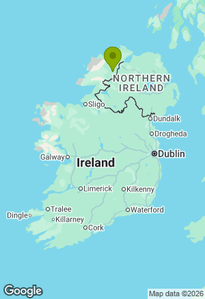 Dobermann for sale in Donegal