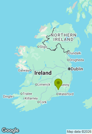 Schnauzer for sale in Kilkenny