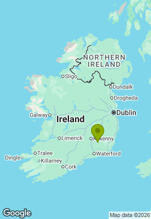 Border Collie for sale in Kilkenny