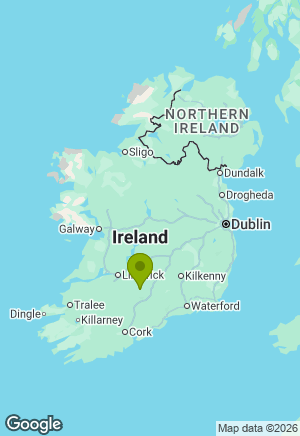 Saarloos Wolfdog for sale in Tipperary