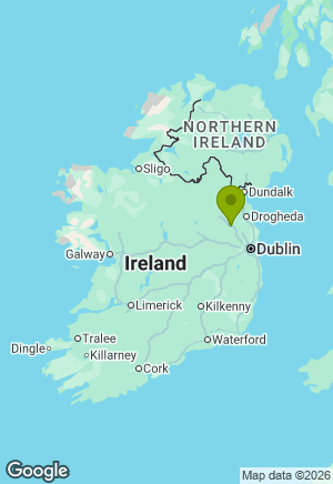 Border Collie for sale in Meath