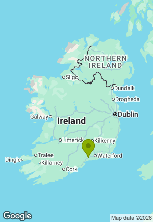 German Shepherd for sale in Waterford