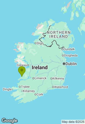 Border Collie for sale in Clare