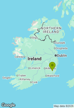 Great Dane for sale in Wexford