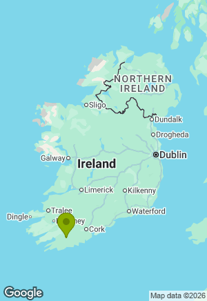 German Shepherd for sale in Cork