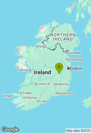 Rottweiler for sale in Kildare