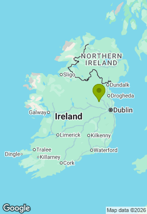 Welsh Corgi Pembroke for sale in Meath