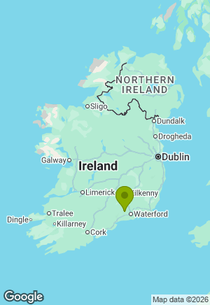 Setter for sale in Waterford