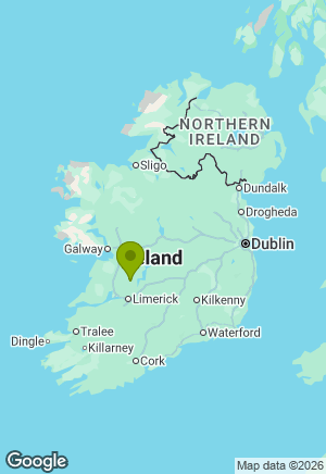 Jack Russell for sale in Clare