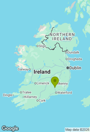 Jack Russell for sale in Kilkenny