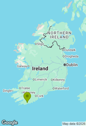 Boxer for sale in Cork