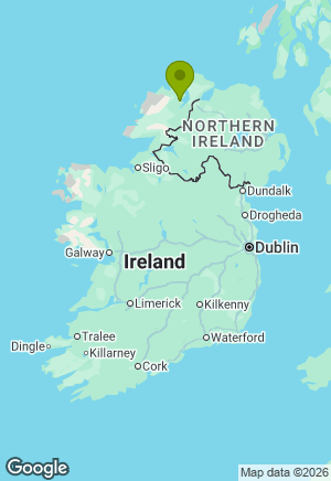 German Shepherd for sale in Donegal