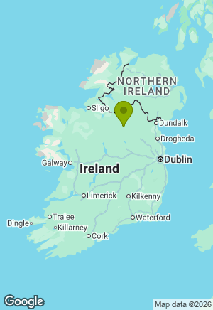 Border Collie for sale in Cavan