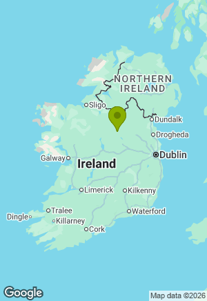 Newfoundland for sale in Longford