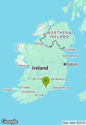 Dachshund for sale in Waterford