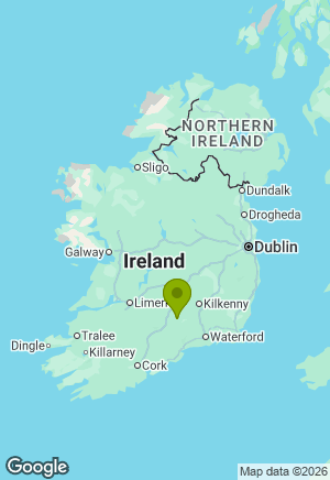 Jack Russell for sale in Tipperary