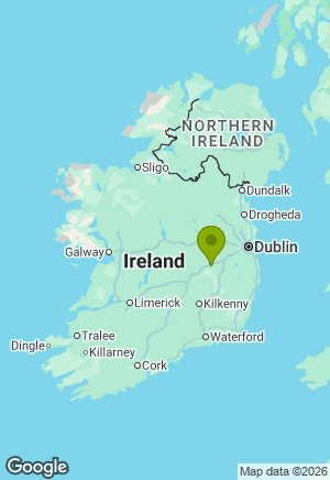 Belgian Shepherd / Malinois for sale in Kildare