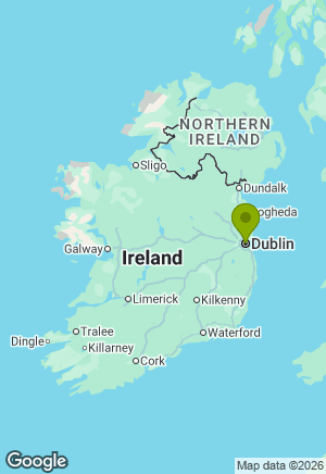 Portuguese Water Dog for sale in Dublin