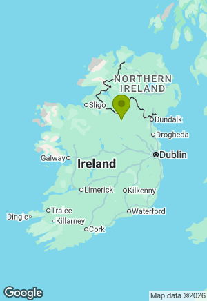 Border Collie for sale in Cavan