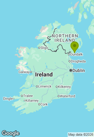 Dalmatian for sale in Down