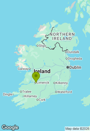 German Shepherd for sale in Limerick