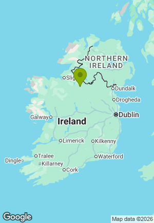 Border Collie for sale in Leitrim
