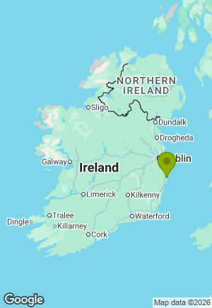Bernese Mountain Dog for sale in Wicklow
