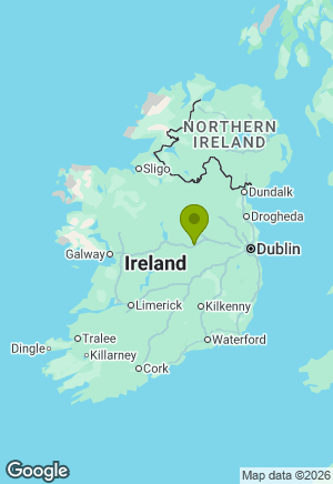 West Highland Terrier for sale in Westmeath