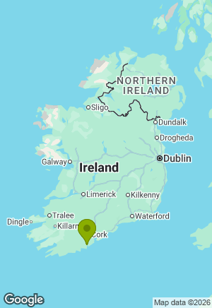 Welsh Corgi Pembroke for sale in Cork