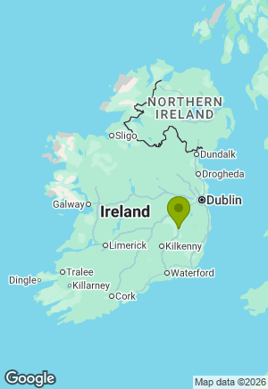 Border Collie for sale in Kildare