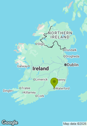 Cocker Spaniel for sale in Waterford