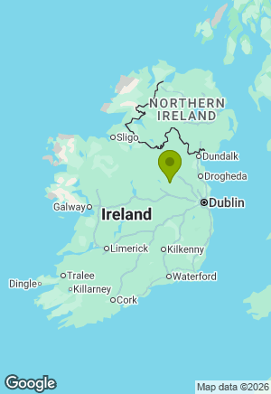 Border Collie for sale in Westmeath