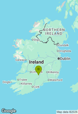 Jack Russell for sale in Tipperary
