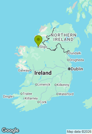 Staffordshire Bull Terrier for sale in Sligo