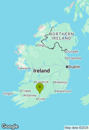 Golden Retriever for sale in Cork