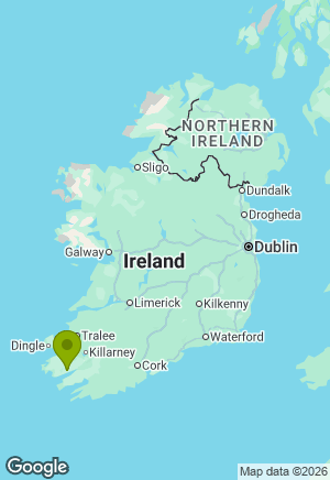 German Shepherd for sale in Kerry