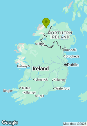 Siberian Husky for sale in Donegal