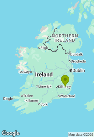 German Shorthaired Pointer for sale in Wexford