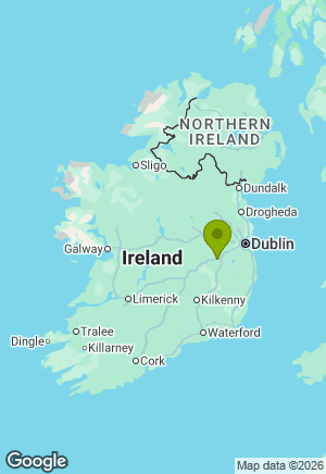 Dachshund for sale in Kildare