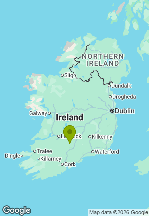 Jack Russell for sale in Tipperary