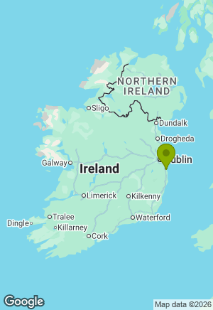 Hungarian Vizsla for sale in Wicklow