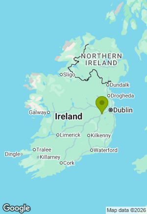 German Shepherd for sale in Kildare