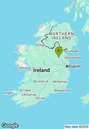 German Shepherd for sale in Meath