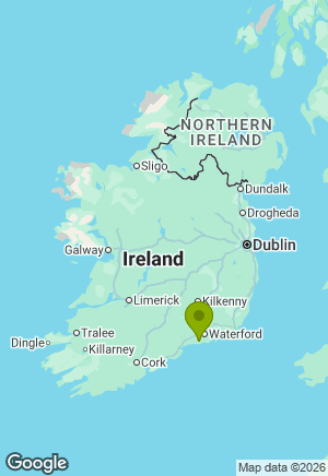 Border Terrier for sale in Waterford